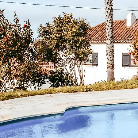 Oliveira's House By Gt House Sintra
